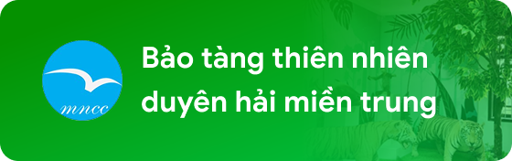 Bảo tàng thiên nhiên