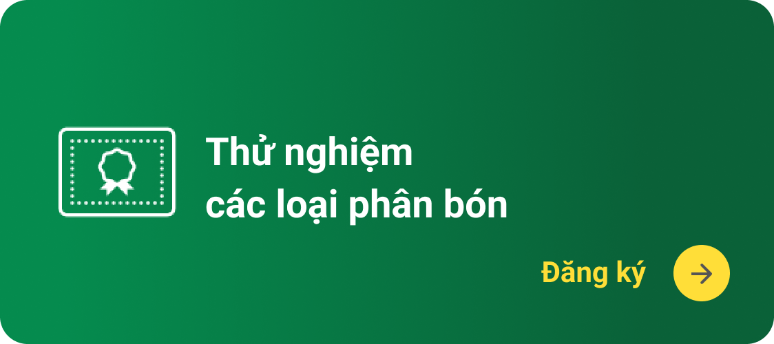 Thử nghiệm phan bón